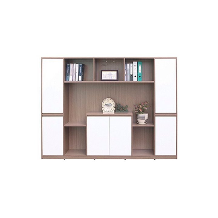 Tủ tài liệu cao TG08