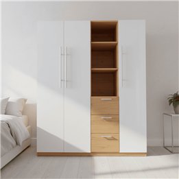 Tủ quần áo gỗ TA10